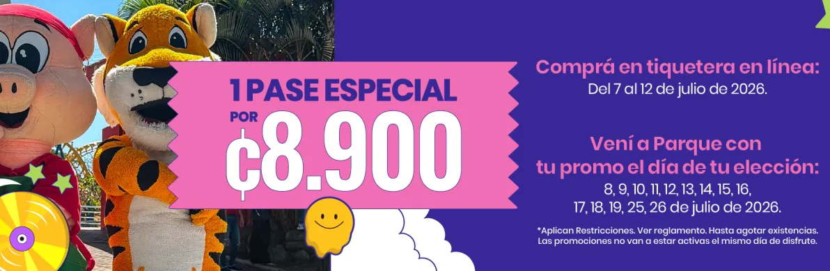 banner promo
