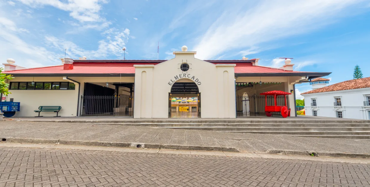 Banner Salón Mercado