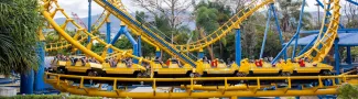 banner bocaraca