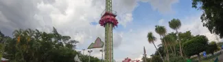 banner la torre