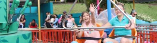 banner magicletas
