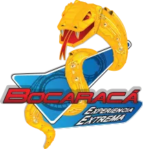 Logo Bocaracá